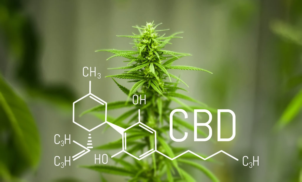 Chemistry Cannabis. Cbd Cannabidiol Formula. Science, Research M