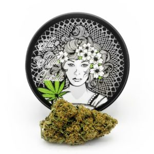 la mal querida - 5g Amnesia - 14%