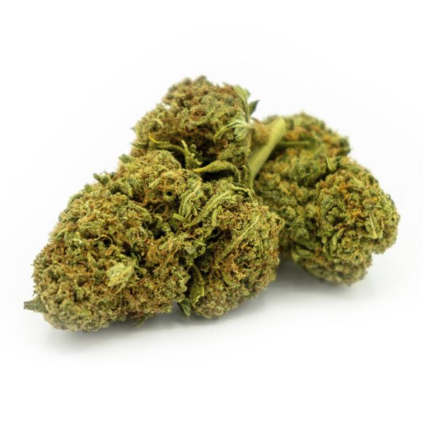la mal querida - 5g Amnesia - 14% - Imagen 3