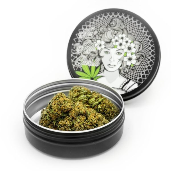 la mal querida - 5g Amnesia - 14% - Imagen 2