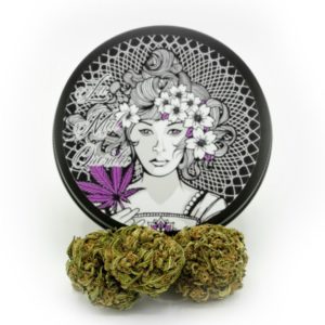 mal querida purple 5g - mora - 16%