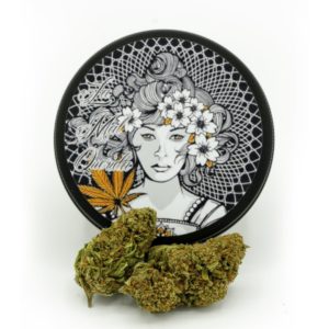 La mal querida 5g - mango - 20%