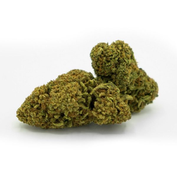 La mal querida 5g - mango - 20% - Imagen 3