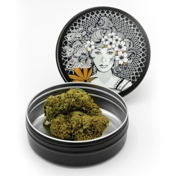 La mal querida 5g - mango - 20% - Imagen 2