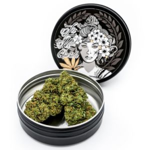 la mal querida 5g lemon 17% cbd