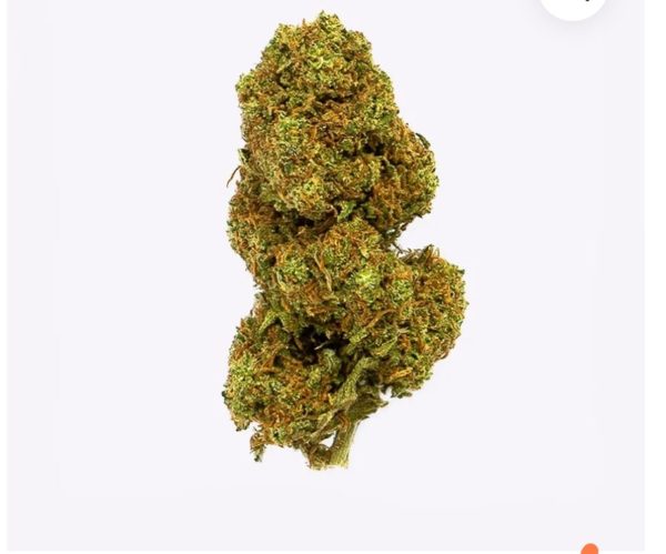 ORANGE COOKIE 5G 10% cbd - Imagen 2
