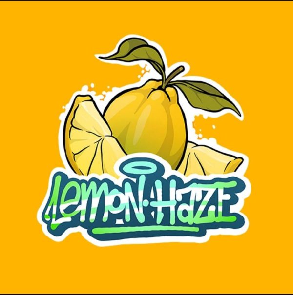LEMON HAZE 5G - Imagen 2